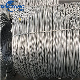  Galvanized Iron Wire /Ms Wire Rod / Steel Wire Price / Q235/Q195/ Wire