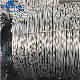 Galvanized Iron Wire /Ms Wire Rod / Steel Wire Price / Q235/Q195/ Wire manufacturer