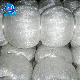 Best Price 100% Nylon Monofilament Mesh Supplier in China manufacturer