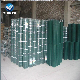 Coated Welded Wire Mesh Factory Supply High Quality Galvanized and PVC Fence Mesh Low-Carbon Iron Wire Square 0.5-3.5mm