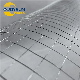  High Quality Square Wire Mesh 5X5cm Electro Hot Dipped Galvanized Welded Wire Mesh
