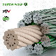  F819 S-FC Dt Dual Tensile 8*19s 8X19s-NFC D11mm 1370/1770 U Sz Seale Low-Rise Elevator Steel Elevator Wire Rope