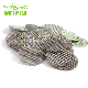 10 Micron Stainless Steel Wire Cloth Filter Mesh Screen