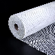 Building Material Fiber Glass Mesh