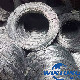 High Carbon / 0.6mm-6mm / Q195, Q235 / Low Carbon / Galvanized Steel Wire manufacturer