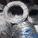 High Carbon / 0.6mm-6mm / Q195, Q235 / Low Carbon / Galvanized Steel Wire manufacturer