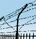  Hot Dipped Galvanized Fencing Coil Barbed Wire Iron Wire Low Price