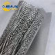 500X3500 Mesh 1um SUS316L Woven Micron Stainless Mesh Filter Clot