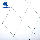 Stainless Steel Wire Welded Mesh Grid