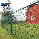  High Quality Chain Link Black PVC Powder Coated Diamond Hooked Wire Mesh Fence Galvanized Cyclone Roll 50FT