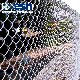 Chain Link Fence of China Factory manufacturer