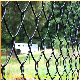 Diamond Wire Mesh Fence / Chain Link Wire