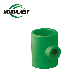 Water Pipe Fittings Plastic Pipe Fitting PPR Fitting Reducing Tee