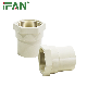 CPVC Pipe Fittings Plastic Female Socket Plumbing CPVC Pipe Fitting manufacturer