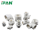 Ifanplus UPVC Bsp Threaded Fitting 1/2 Inch UPVC Pipe Fitting