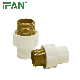  Ifanplus Manufacturer Wholesale Male Socket Fitting CPVC Adapter CPVC Pipe Fitting