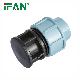 Ifan Agriculture Water Irrigation System HDPE Plug HDPE Pipe Fitting