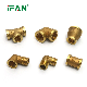 Ifan Manufacturer NPT Plumbing Fitting Brass Tube Connector Brass Fittings manufacturer