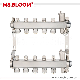  High-Quality Stainless Steel Manifolds with Eurocone Standard Flow Meters