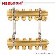 High-Quality Brass Manifolds with 19 Flow Meters and Eurocone Standard Outputs manufacturer