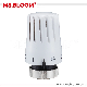 M30*1.5 ABS Thermostat Radiator Valve Trv