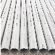 ASTM A270 SS304 316L 310S 321 Ss Tube Seamless Stainless Steel Pipe