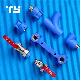 Brass Female Coupling of Blue PPR Plastic Pipe Fitting for Supply Water