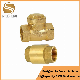 50% off Check Valve Brass Non Return Valve