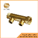 Brass Exhaust Manifold for Water manufacturer