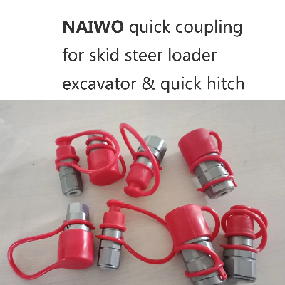 NAIWO 3/4" NPT 1/2 Body Flat Face Quick Couplings ISO 16028 Coupler