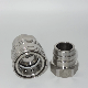  Naiwo Valveless Coupling Straight Through Quick Coupler Quick Connector Factory (NWST)