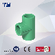 PPR Equal Tee with Pn12.5/Pn20/Pn16/Pn25 Pressure Plastic Pipe and Fitting Use for Hot Water manufacturer