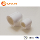  China Supplier Manufacture Corrosion Resistance Plumbing Water PPR Fittings PPR Professional Pipe Fittings