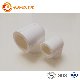 China Supplier Manufacture Corrosion Resistance Plumbing Water PPR Fittings PPR Professional Pipe Fittings