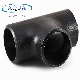  Malleable Iron Steel Pipe Fittings for Pipe Fitting, Flange, Tee Joint, Elbow