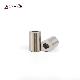  25 Years Factory M2 Material DIN 172 Guide Bushings for Car Mold