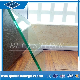  6.38mm Clear /Tinted Laminated Glass