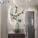 4mm 6mm 8mm 12mm Customized Design Figure Glass Tempered Pattern Glass Begonia Pattern Glass manufacturer