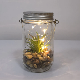  Lp3201portable Glass Jar with Copper Wire LED Twinkle Light with Copper Wire LED Twinkle Light