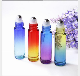  Gradient Color Roll on Glass Bottles Aromatherapy Packing 10ml