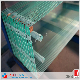  5mm 6mm 4mm Custom Rectangular Bathroom Glass Shelf Glass Ultra Clear Tempered Laminated Glass/Toughened Door Glass/Edge Polished Glass/ Window Glass