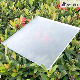 3mm Super Float Glass Extra Ultra White Glass Supplier/Reflective/Float/Toughened/Laminated/Tinted/Pattern/Tempered manufacturer