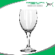  Copa Goblet Water Glass Drinking Glass Wine Glass for Hotel Bar Restaurant