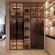 Modern Design Aluminum Frame Glass Doorbedroom Furniture Walk in Wardrobe