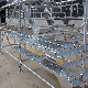 Steel Scaffolding Australia and South Africa Type of Kwikstage manufacturer