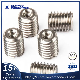 Adjustable Threaded Insert Anchor Bolt Screw for Aluminum Profile