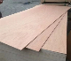 High Quality Okoume/Bintangor/Pencil Cedar/Poplar/Birch/Pine Faced Plywood Used for Furniture Decoraton with Competitive Price manufacturer