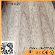 Decorative Natural Teak Fancy Plywood