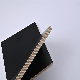 18mm Film Faced Plywood 1220X2440mm 15mm Plywood Sheet for Construction Use manufacturer