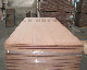 12mm High Quality Beech Surface Okoume Core Plywood for Musical Instrument